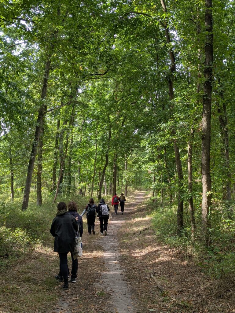 Teilnehmer beim Waldbaden und Achtsamkeitsübungen in der Dölauer Heide, Halle Saale.
